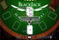 Opinião do cliente: Não tenho queixas porque me saí bem com o blackjack.